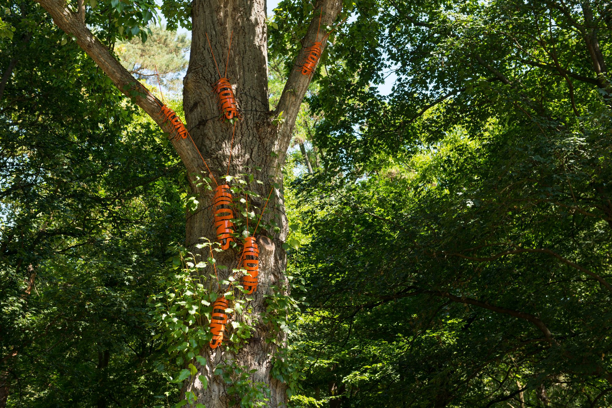 Wildnis-Assel-Kolonie (c) Solveig Hesse